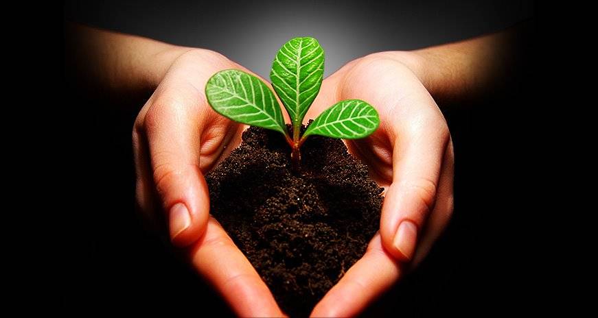 Immobilier : l'amorce d'une dynamique en matière de transition énergétique en Provence (La Provence du 16/10/2020)