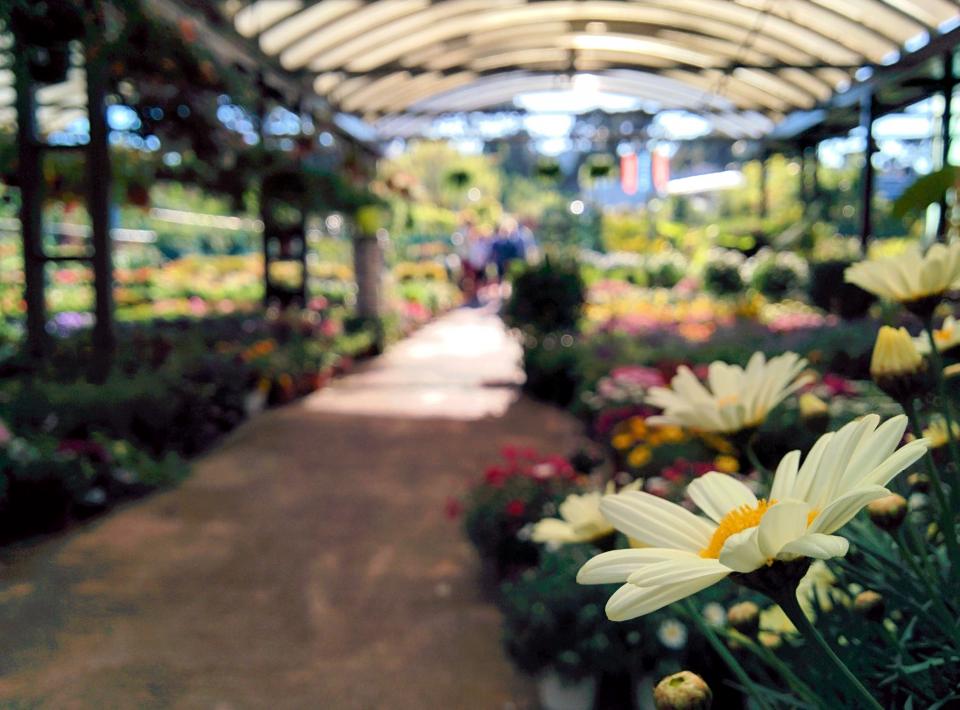 a la cle des champs marseille