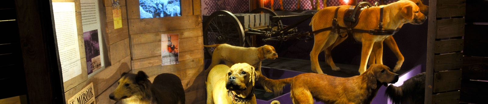 Exposition Bêtes de guerre (Marseille 5e), du 16 octobre 2015 au 19 juin 2016.